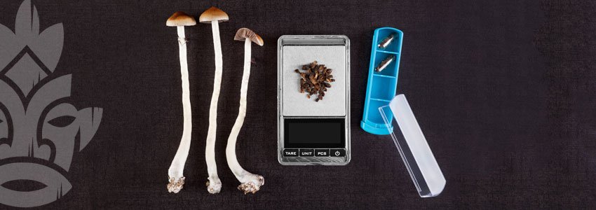 Micro-dosing magic mushrooms 
