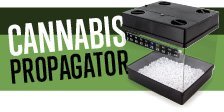 Cannabis Propagator