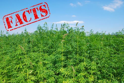 Facts about Hemp