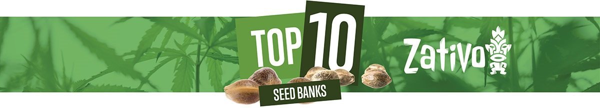 Top 10 Cannabis Seed Banks