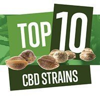 Top 10 CBD Seeds